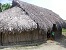 Harmattan-136